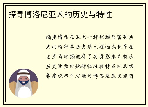 探寻博洛尼亚犬的历史与特性